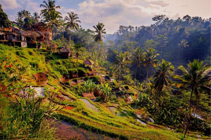 Rainy bali visiting season sliva ubud terrace rice